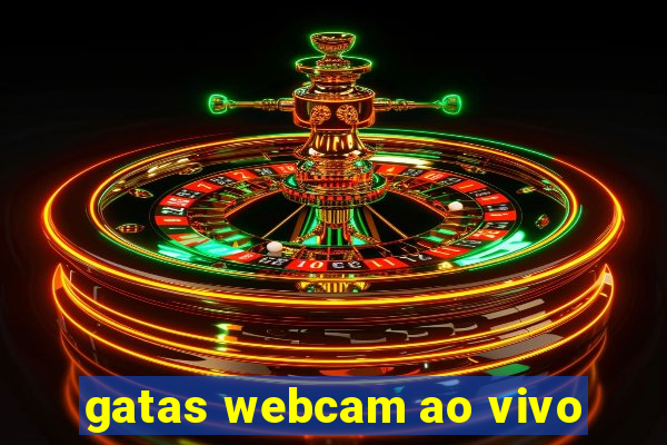gatas webcam ao vivo